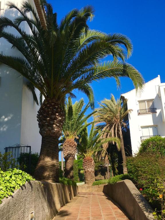 A garden outside Rancho A 112