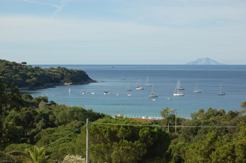 Blick auf einen Hafen mit Booten im Wasser in der Unterkunft Felciaio in Capoliveri