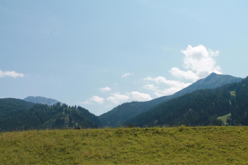 Un paisaje natural cerca del departamento