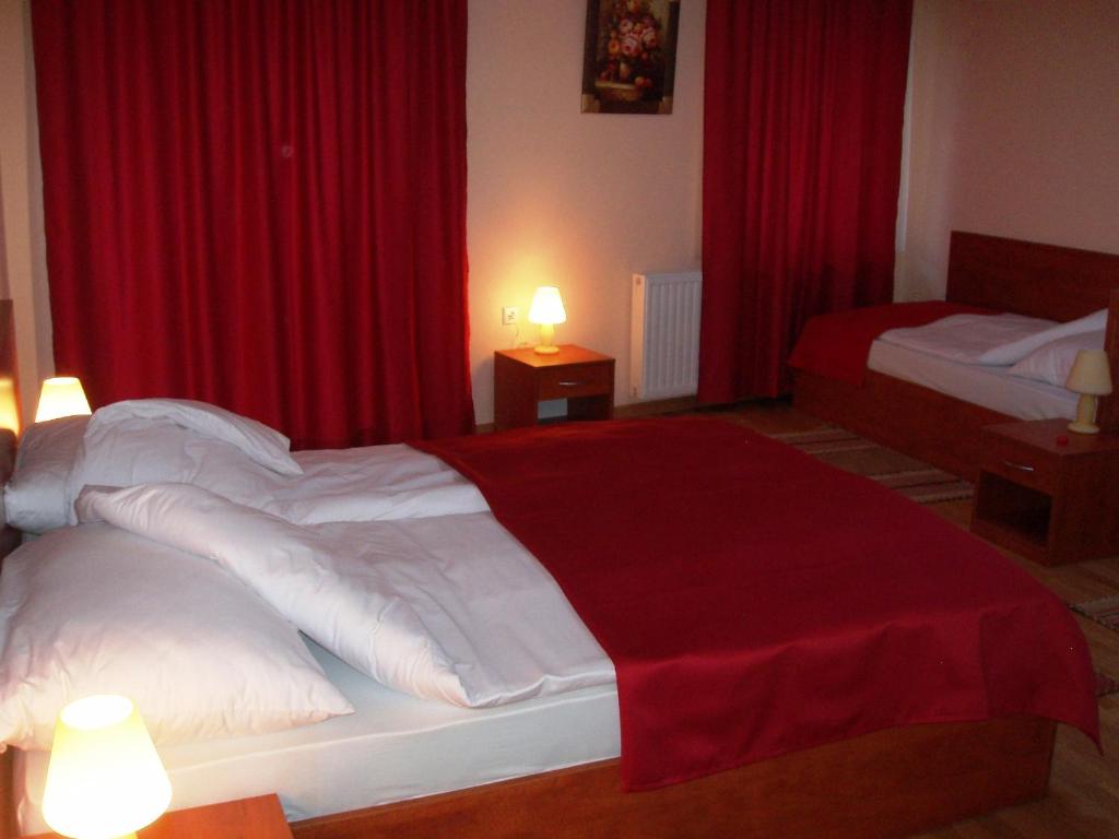 Postel nebo postele na pokoji v ubytování Hotel Jezero