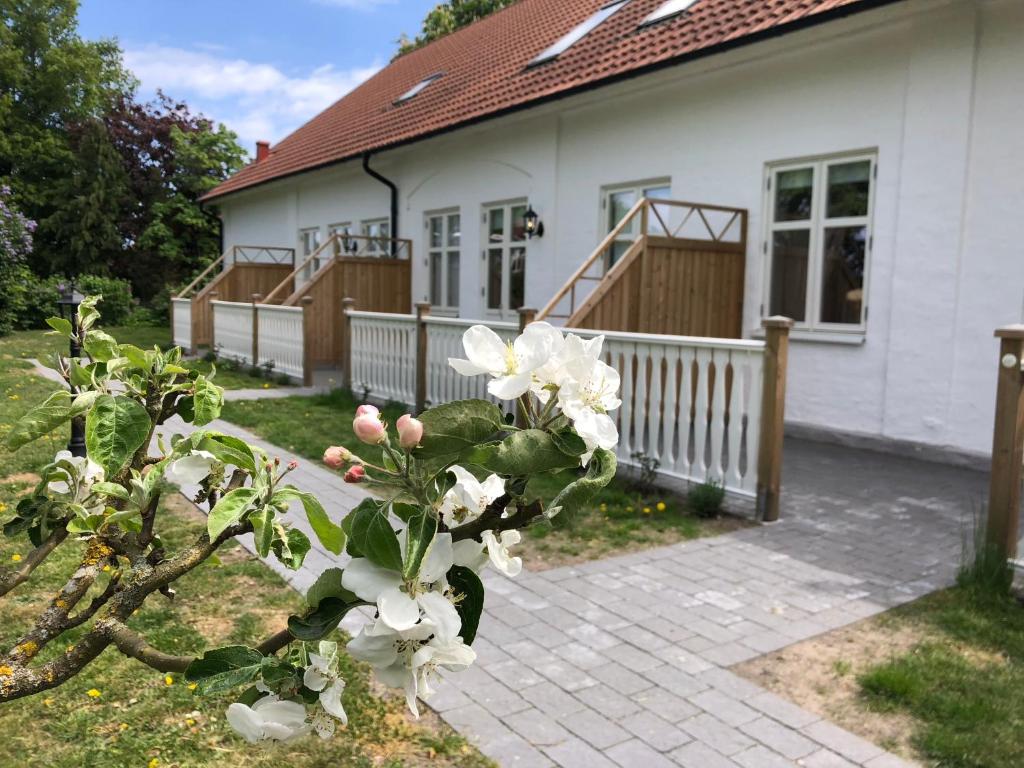 Zahrada ubytování Kastanjelund
