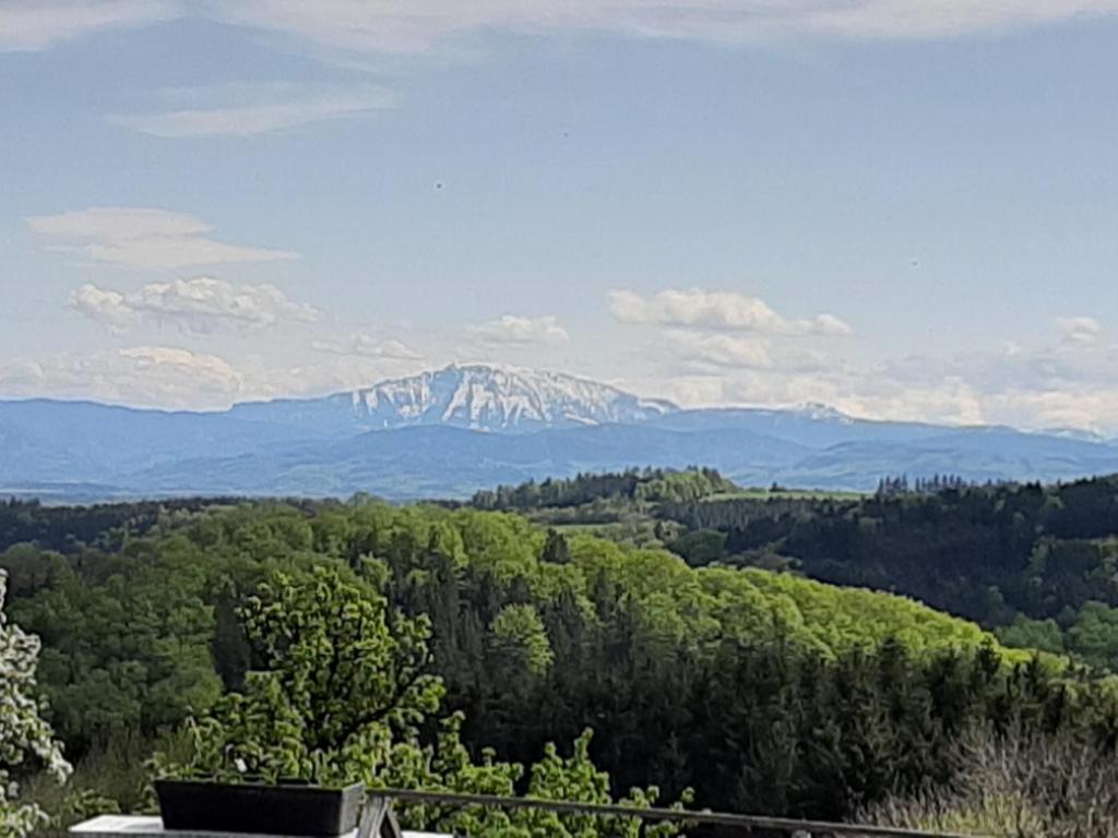 Táj az apartman közelében