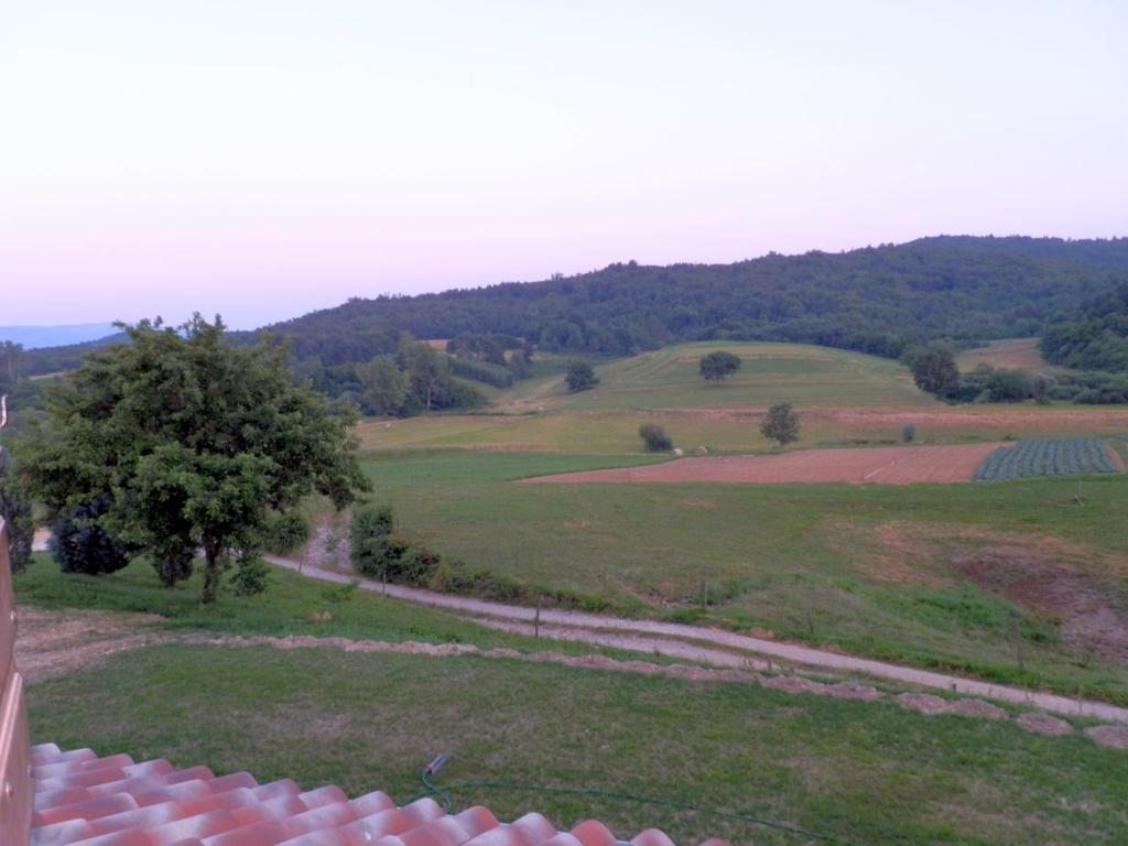 Příroda nedaleko penzionu