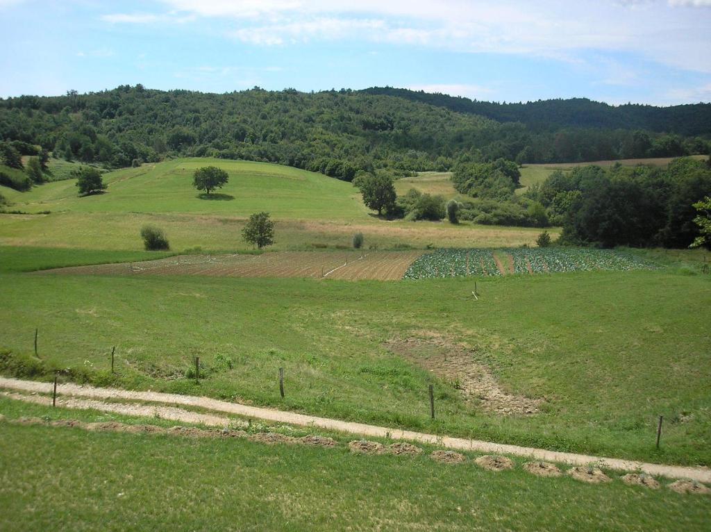 a green field with a stone wall in the middle at Agroturism Stara Štala in Borut