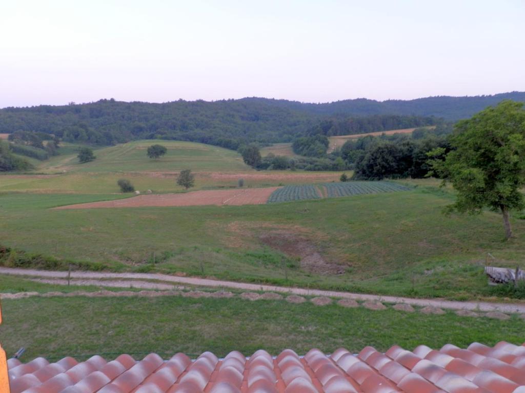 a view of a field from a roof at Agroturism Stara Štala in Borut