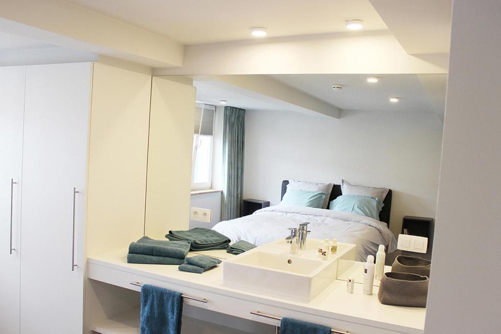 um quarto com um lavatório e uma cama com um espelho em Remacle3 em Stavelot