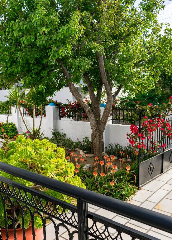 Dedalos Studios Naxos - 19