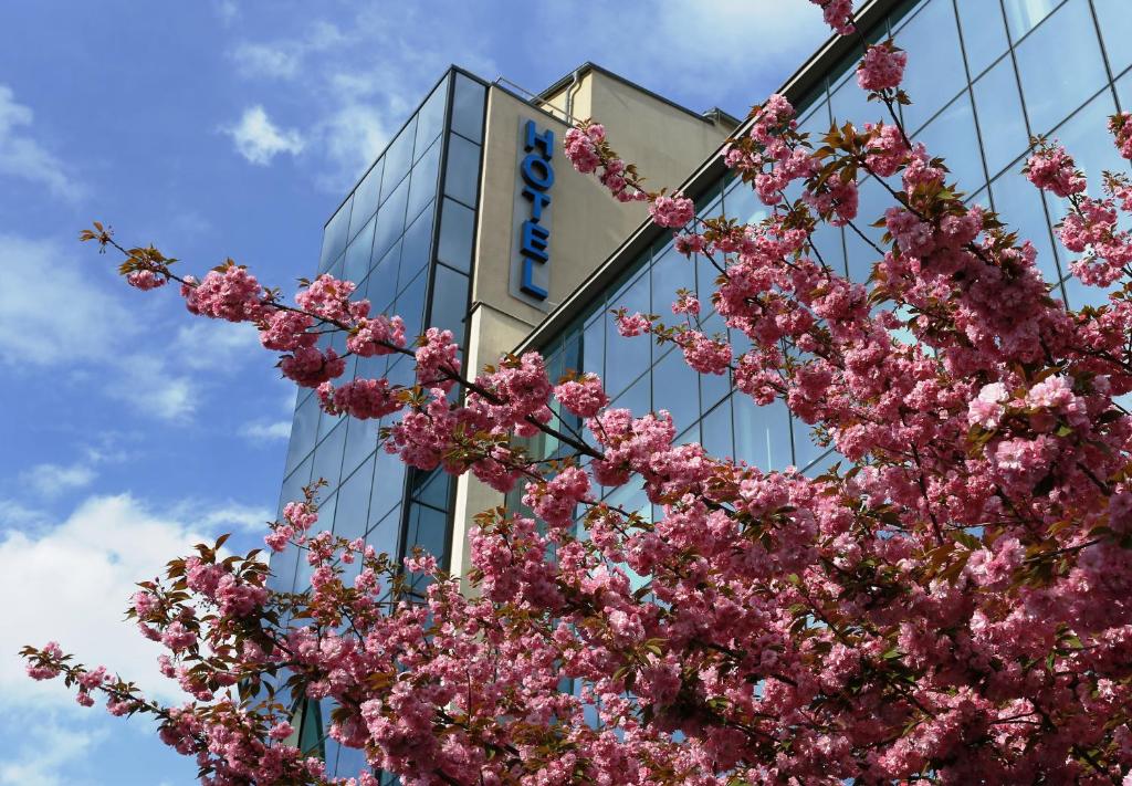 einen Zweig rosafarbener Blumen vor einem Gebäude in der Unterkunft Hotel Lafonte in Karlsbad