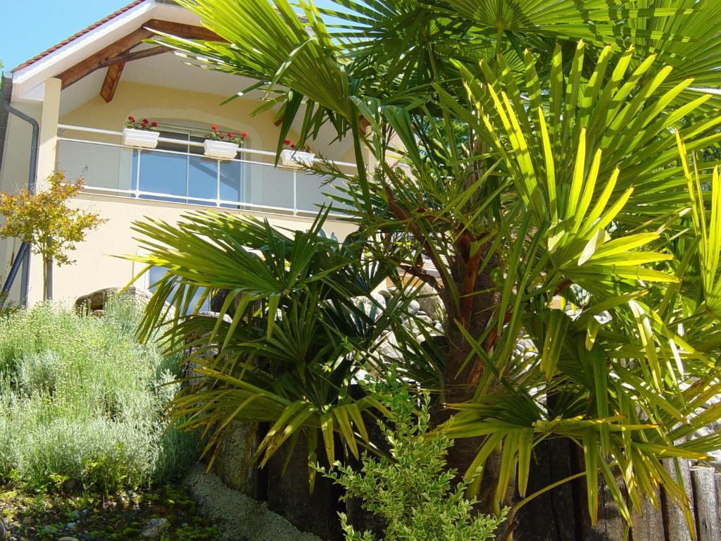 a group of palm trees in front of a building at Chambres d'Hôtes Coteaux Sud in Jurançon