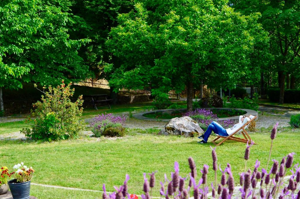 Zahrada ubytování Solar da Castanha - Forest House