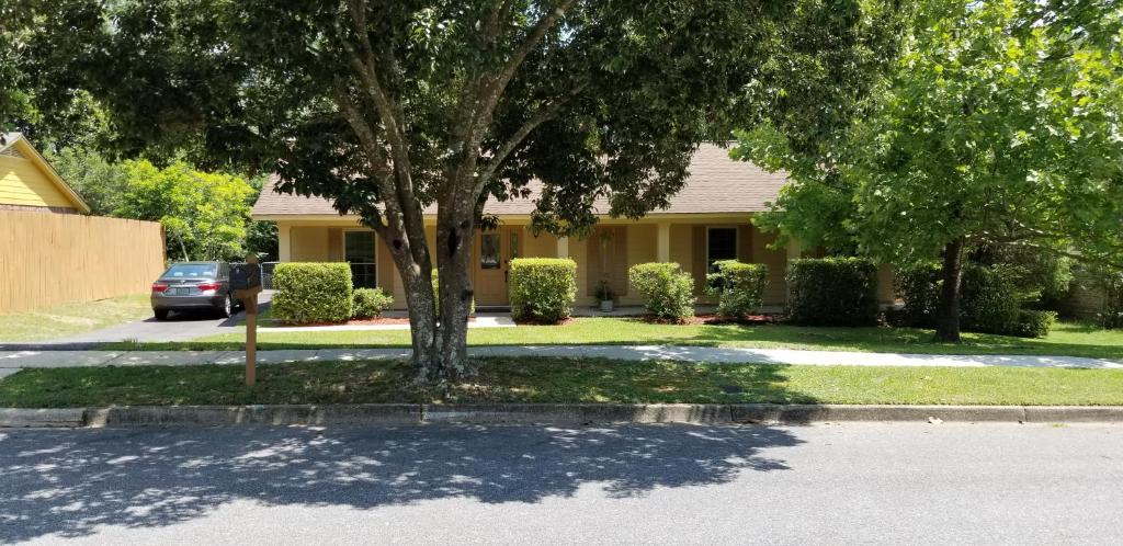 a house with a tree in front of a driveway at Comfortable, Convenient, Great Value in Mobile