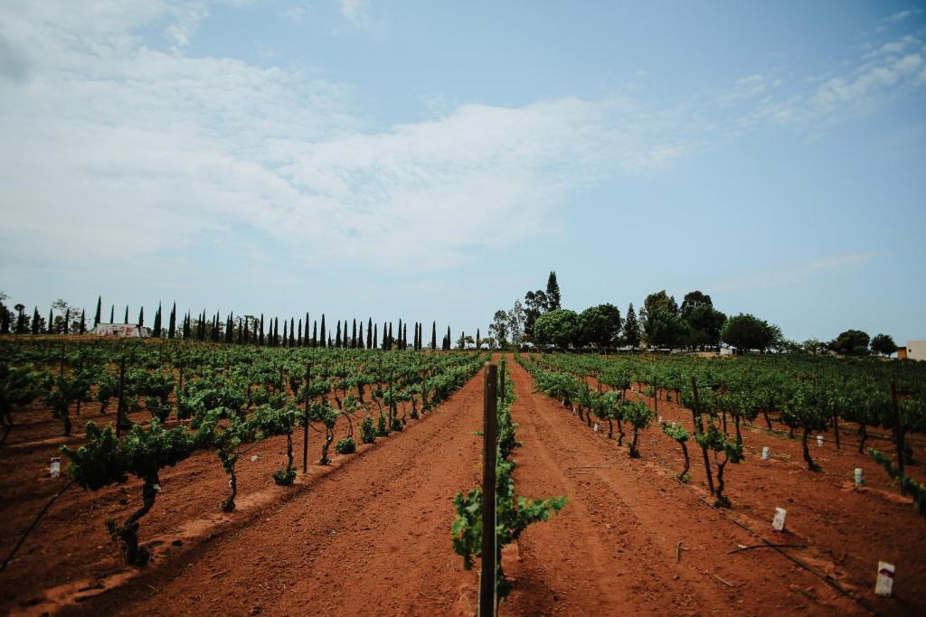 Fotografie z fotogalerie ubytování Rancho el Parral v destinaci San Marcos