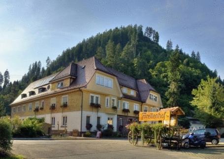 a large building in front of a mountain at Hotel Teinachtal in Bad Teinach-Zavelstein