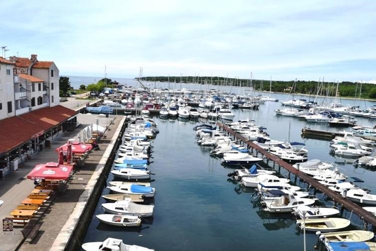 eine Reihe von Booten liegen in einem Hafen vor Anker in der Unterkunft My happy place in Poreč