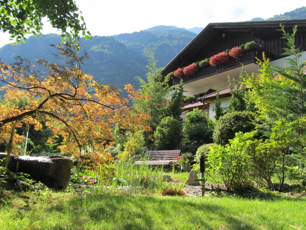 Příroda nedaleko bed and breakfast