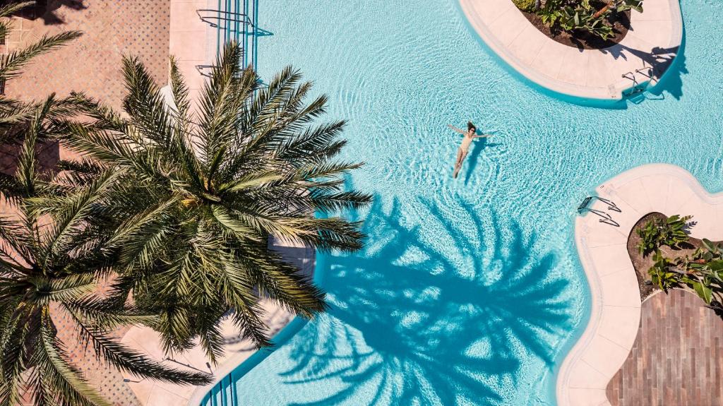 マルベーリャにあるDon Carlos Resort & Spaのヤシの木の上から見渡すプールで泳ぐ人