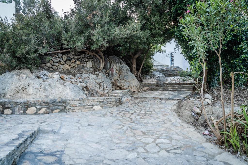 a stone path with trees and a stone wall at Theaktis Homes in Kaloi Limenes