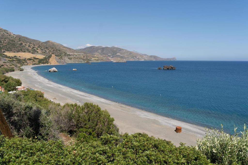 a view of a beach with the ocean at Theaktis Homes in Kaloi Limenes