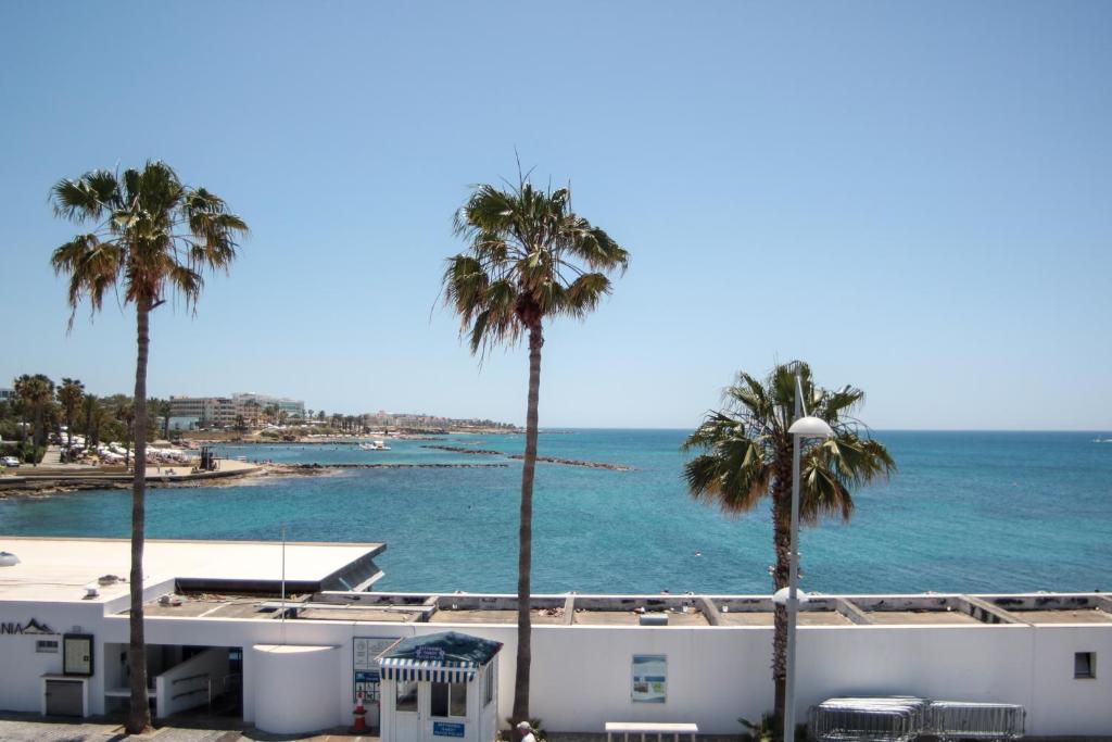 une vue sur l'océan et les palmiers dans l'établissement Phaedrus Living Seaview Luxury Flat Lighthouse 53, à Paphos