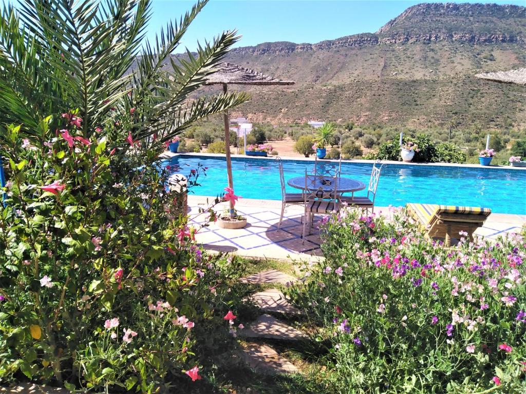 Bazen v nastanitvi oz. blizu nastanitve Riad de l'Olivier - Paradise Valley