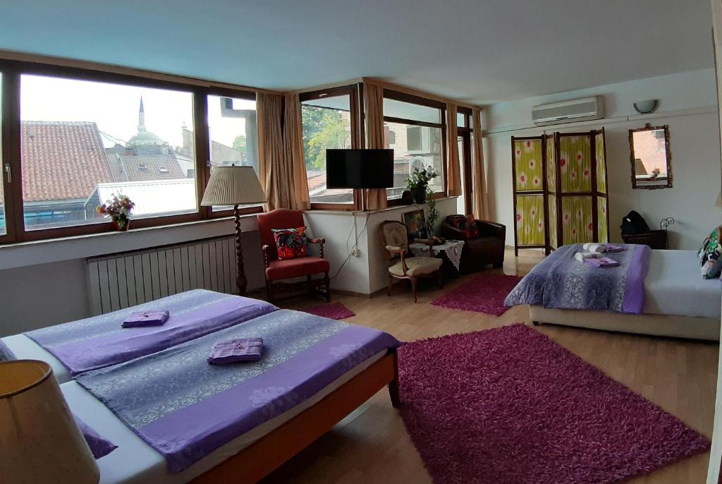 TV a/nebo společenská místnost v ubytování Hostel Pansion Lion
