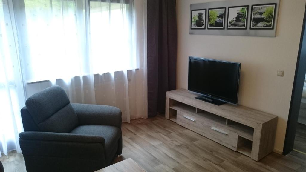 TV a/nebo společenská místnost v ubytování Gasthof Hotel Schwarzes Roß