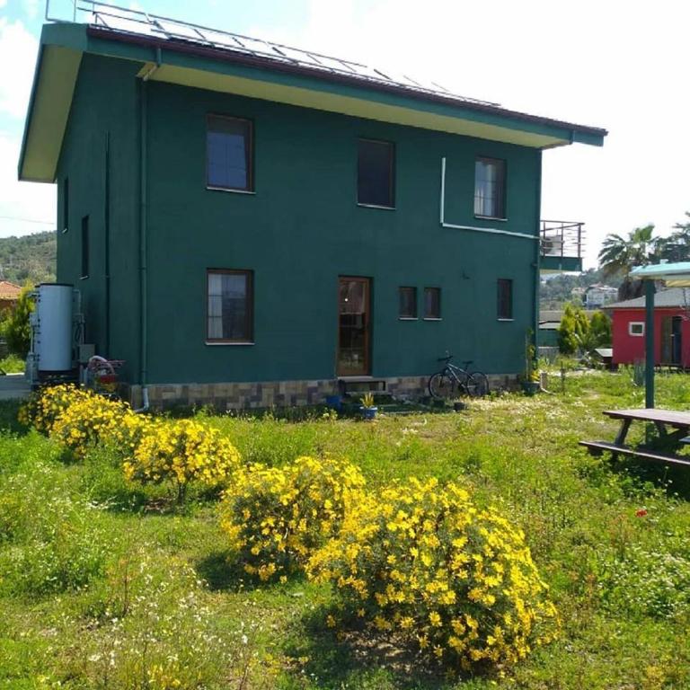 Zahrada ubytování Chillsteps Hostel