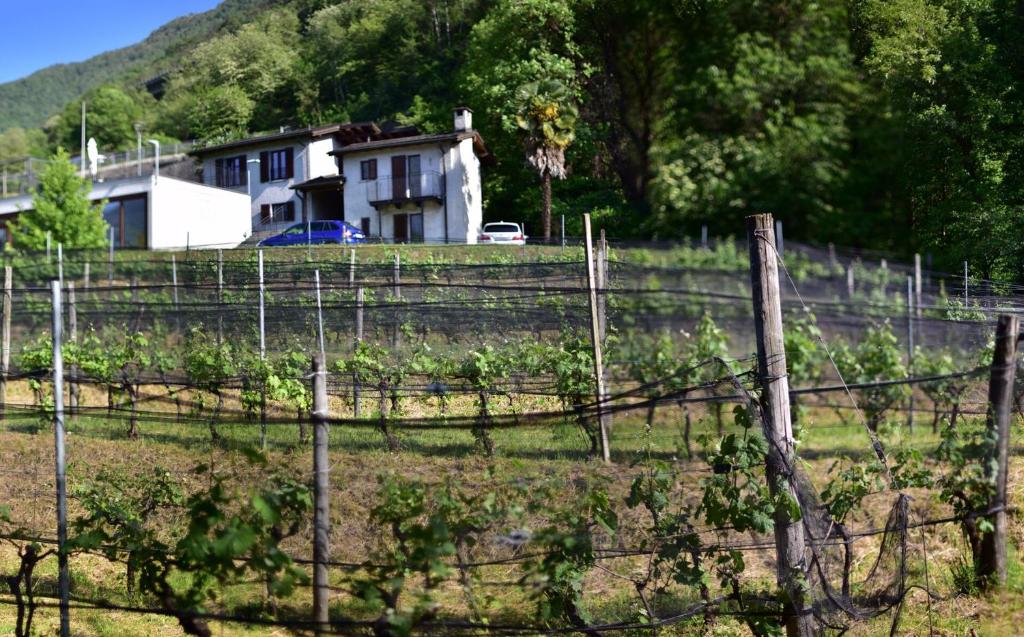 Příroda nedaleko bed and breakfast