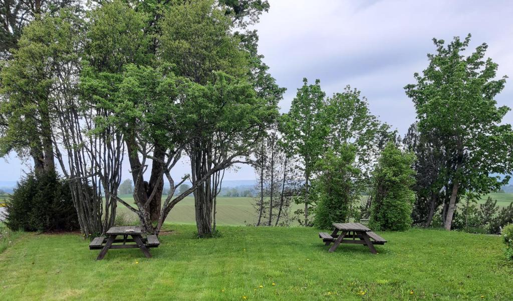 two picnic tables in a field with trees at Bedder at Oslo Airport - serviced apartments in Jessheim
