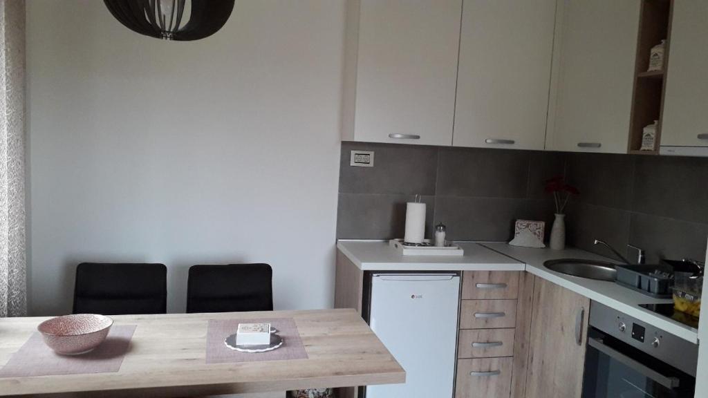 Kuchyň nebo kuchyňský kout v ubytování Apartman Nana Svetogorska 19 ,stan 17