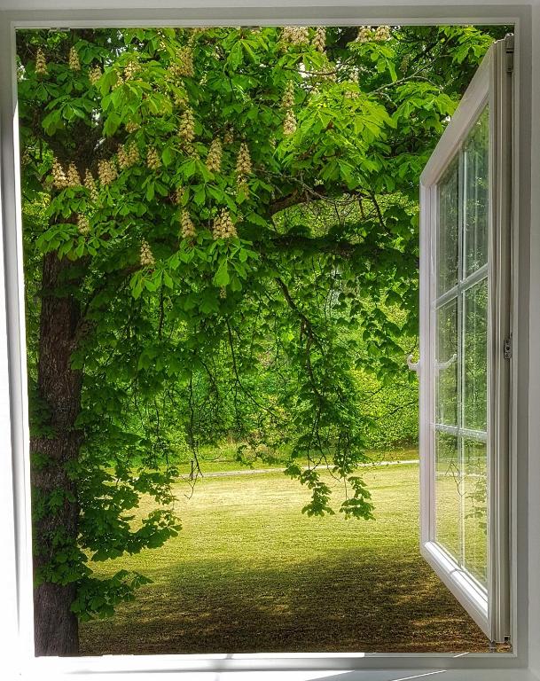 Lundsbrunn B&B - Habitación Gemela