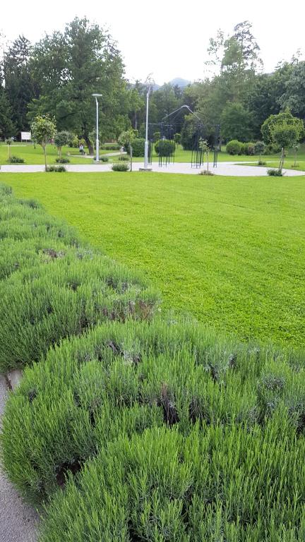 Zahrada ubytování Garni Hotel Zvon