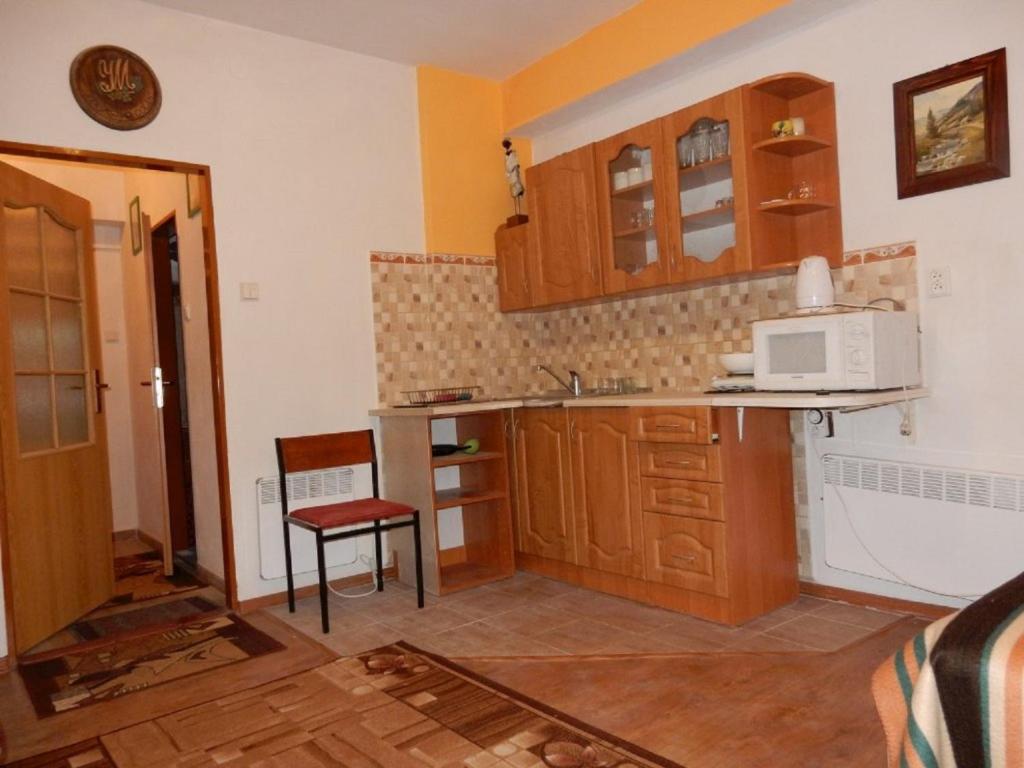 A kitchen or kitchenette at Penzión Bajo
