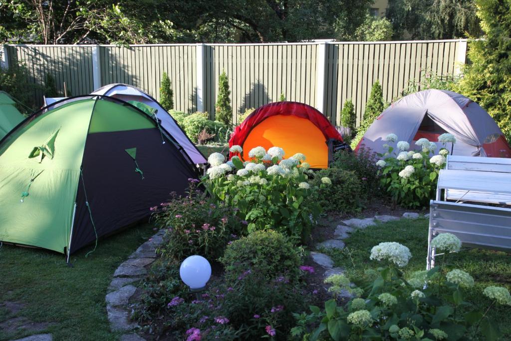 塔林的住宿－Garden Camping，两顶帐篷位于种满鲜花的花园内