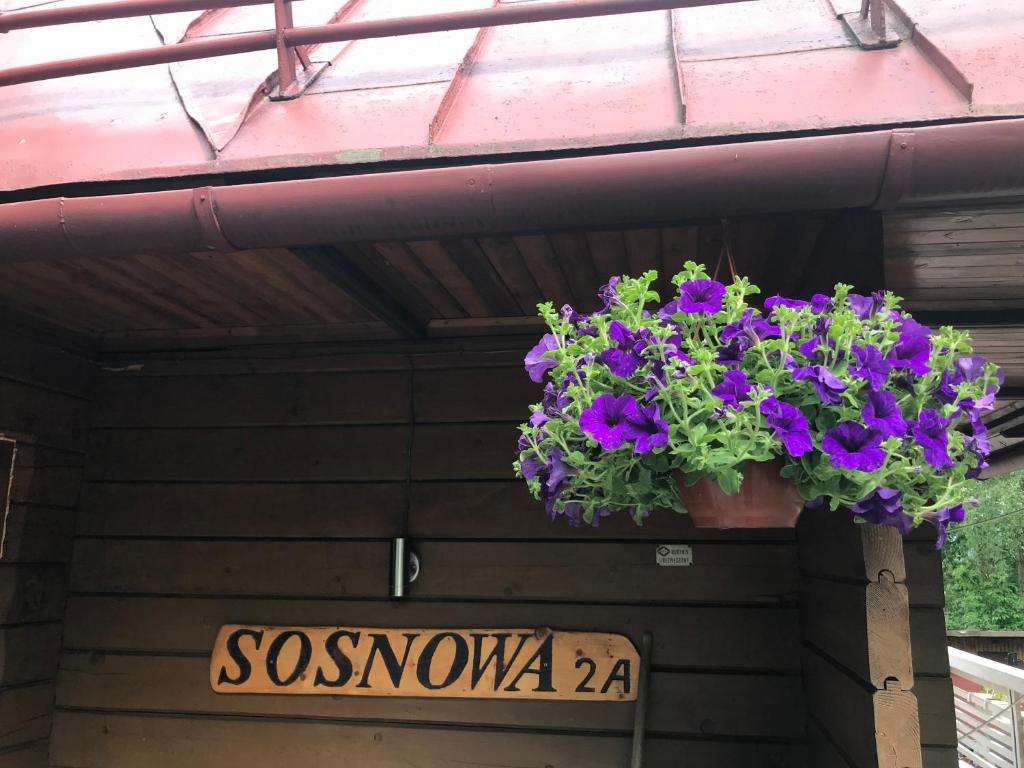 Fotografie z fotogalerie ubytování Sosnowy Zakatek ve Visle