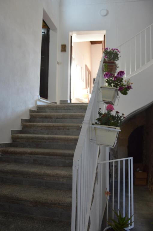 Zdjęcie z galerii obiektu Residenza Amante Center w Tropei