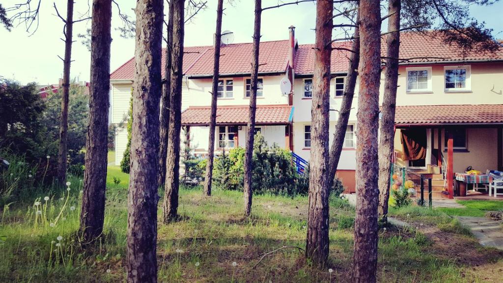 a house in the middle of a forest at Pas Edgara in Nida