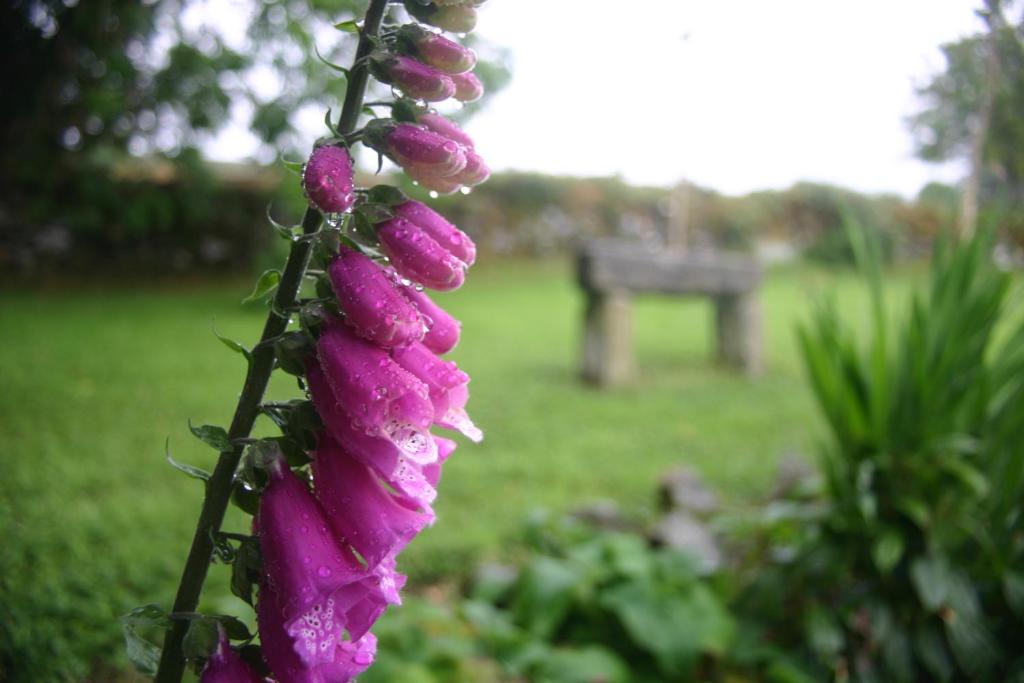 Wicklow Way Lodge