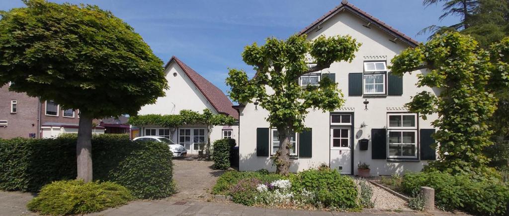 Boven-Leeuwen的住宿－De Slaapmus，白色的房子,有黑色百叶窗和树木