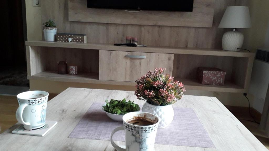 TV a/nebo společenská místnost v ubytování Apartman Nana Svetogorska 19 ,stan 17