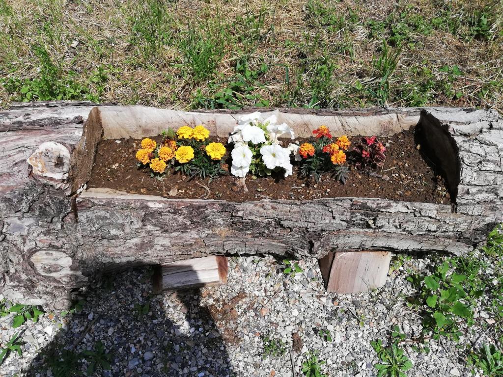 Ogród w obiekcie IL PARADISO DEGLI DEI 2
