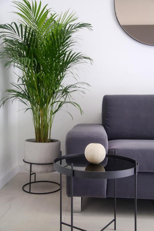 Apartments HUGO 2, Split (updated prices 2024)