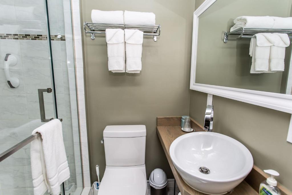 a bathroom with a toilet and a sink and a shower at Ambiance By The Falls B&B in Niagara Falls