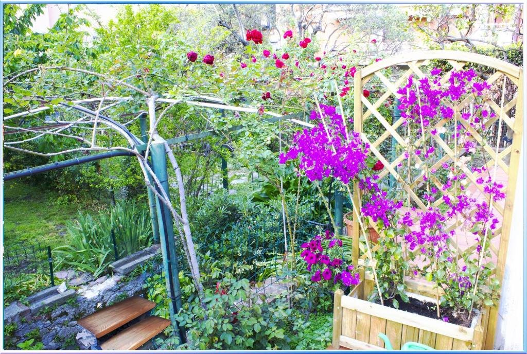un giardino con fiori viola e un pergolato metallico di Il Giardino Segreto (Villa Cristina) a Lerici