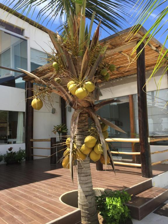 Mar de Mancora Playa Las Pocitas