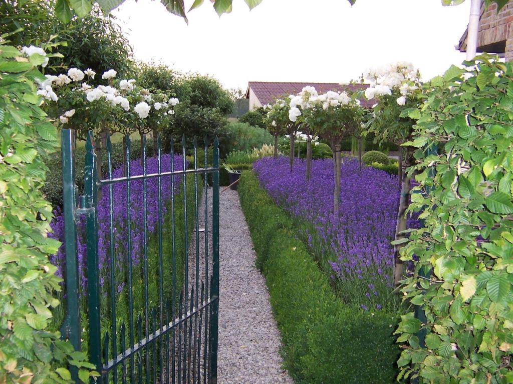 une porte dans un jardin avec des fleurs violettes et blanches dans l'établissement Vakantielogies Boerke Naas, à Bruges