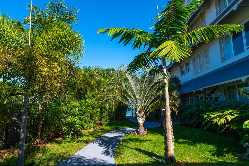a palm tree in front of a building at Hotel Beaurivage in Noumea