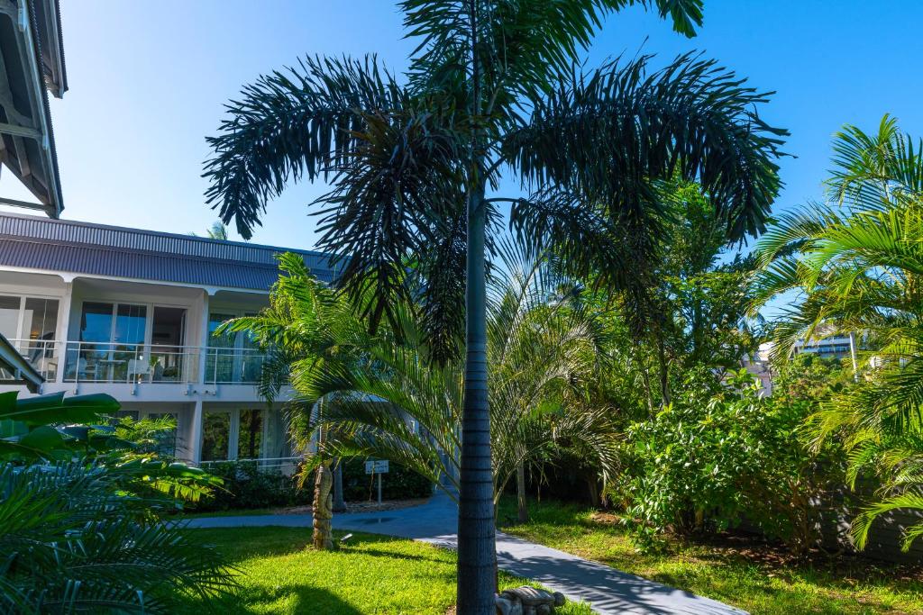 a palm tree in front of a building at Hotel Beaurivage in Noumea