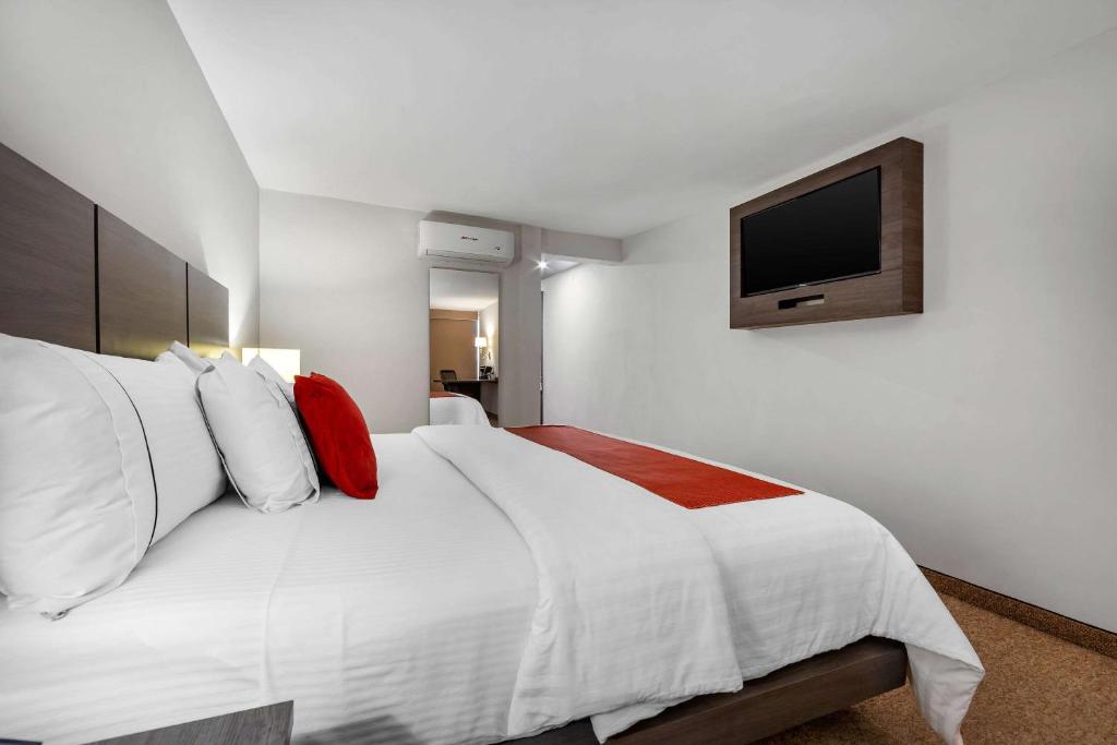 Postel nebo postele na pokoji v ubytování Hotel BeWow Querétaro