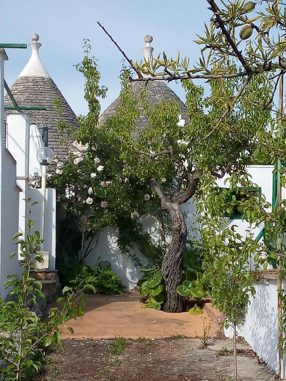 Zahrada ubytování Trulli di Ivana